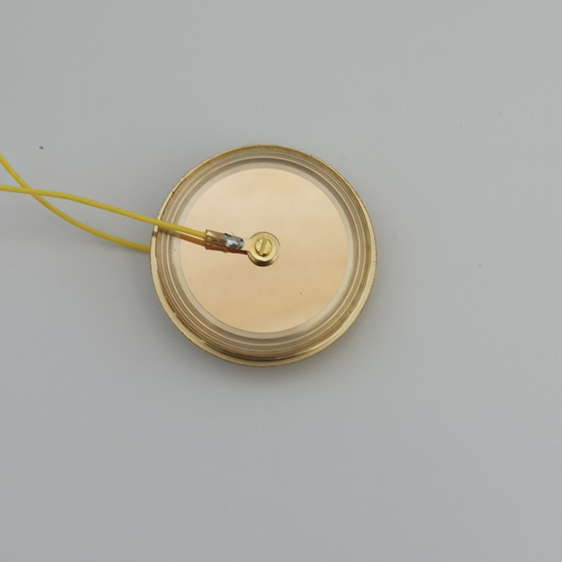 M7 Gold-plated 32mm Large Gold - Microphone Capsule review and price