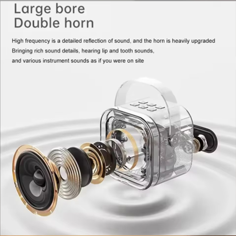 K12 Karaoke Machine Portable B - Microphone Capsule review and price