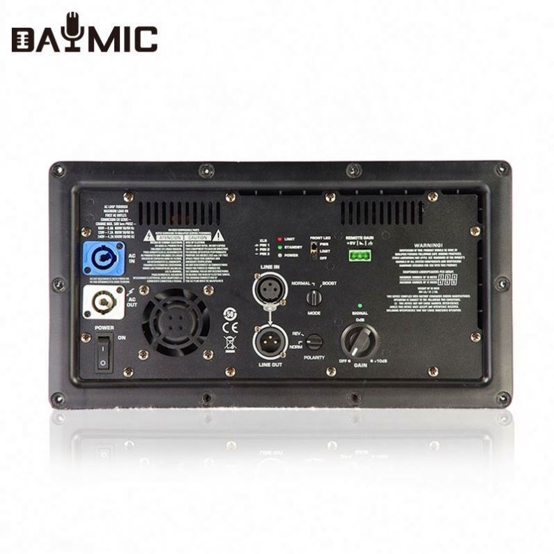 AOSHEN Class D DSP AMP 500x2 W - Subwoofer review and price