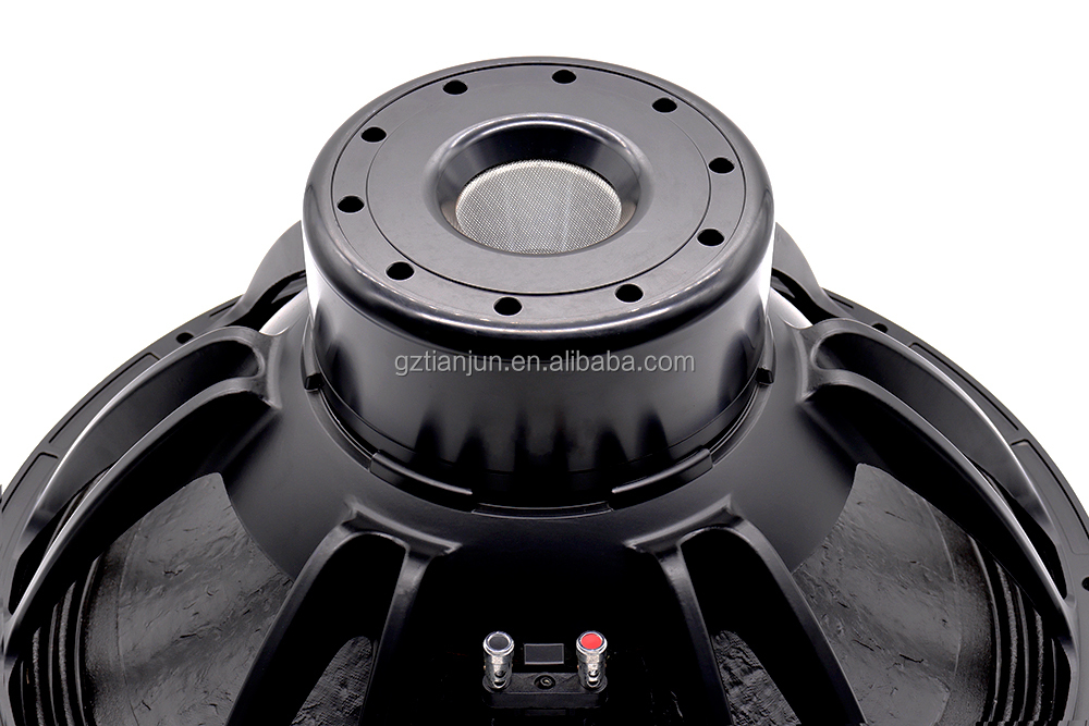 21'' Professional Audio System - Subwoofer review and price