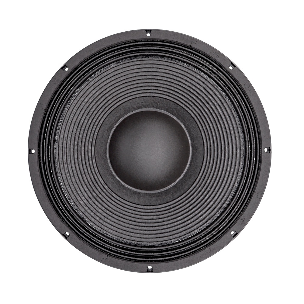 21'' Professional Audio System - Subwoofer review and price