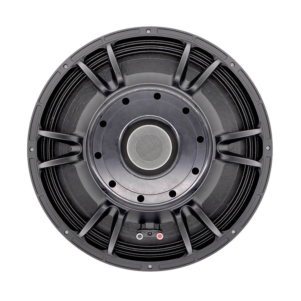 21'' Professional Audio System - Subwoofer review and price