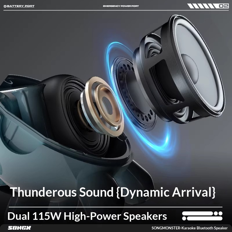 SONGX Audio Dual Microphone Du - Full Range Speaker review and price